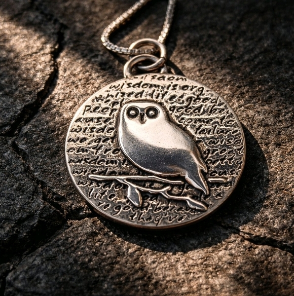Sterling Jewelry - Necklace Owl Pendant 950 Sterling Pendant 925 Chain